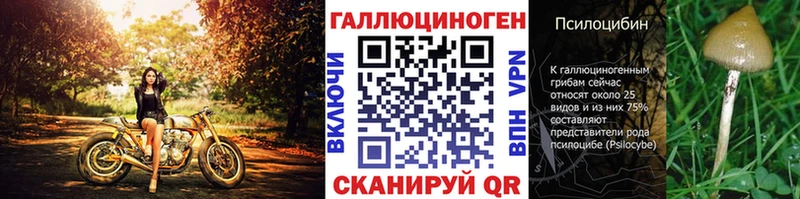 Купить закладки  Петропавловск-Камчатский  Галлюциногенные грибы прущие грибы 